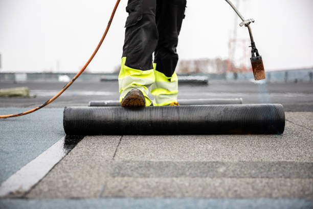 Best Roof Maintenance and Cleaning  in Lake Junaluska, NC